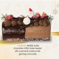 Cocoa Noel Log Cake